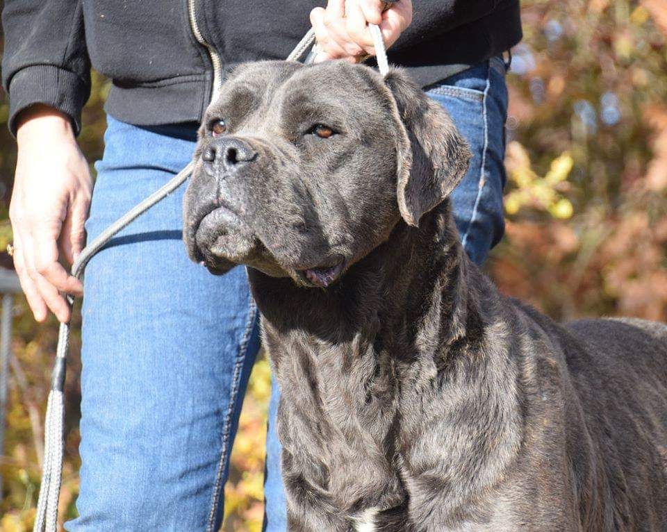 Kita .