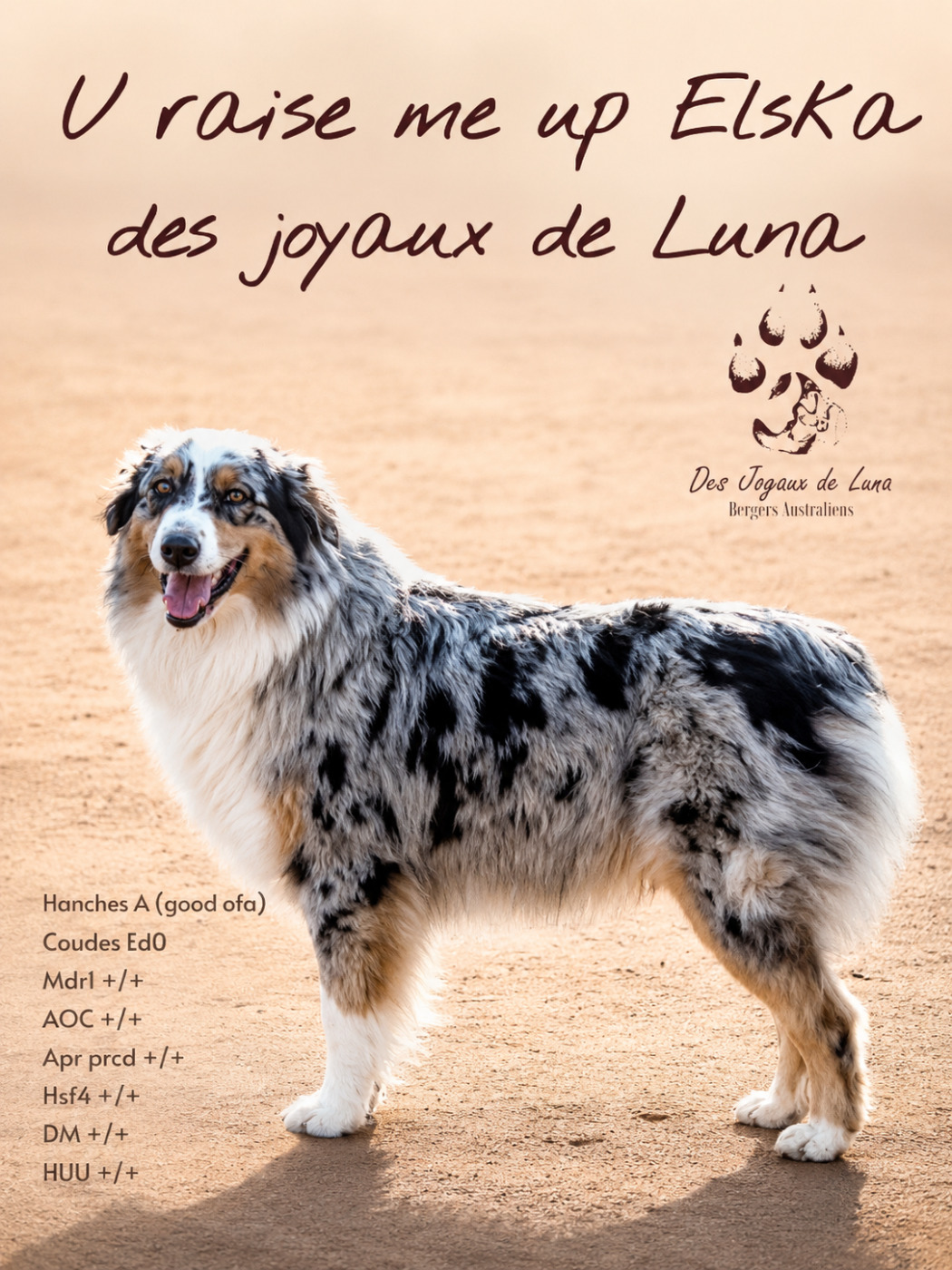 U raise me up elska Des Joyaux De Luna