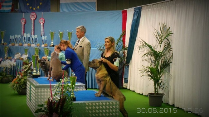 Du Règne De Malaudrea - Expo Internationale Luxembourg 