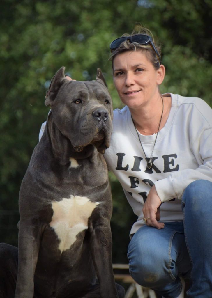 Nos chiens et nos productions